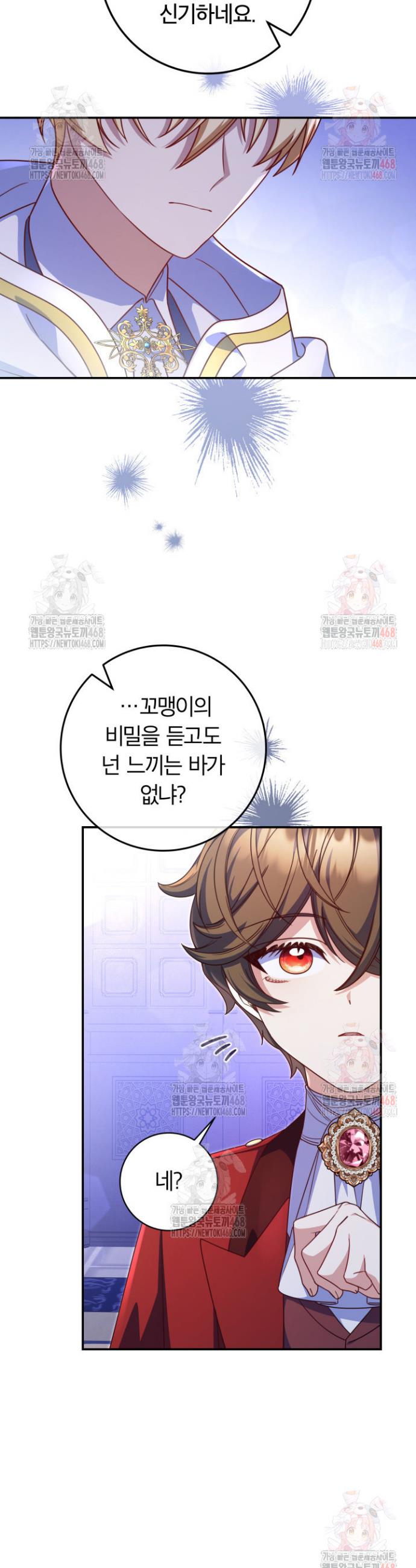 1746145939059cocdn7ewkb.jpg