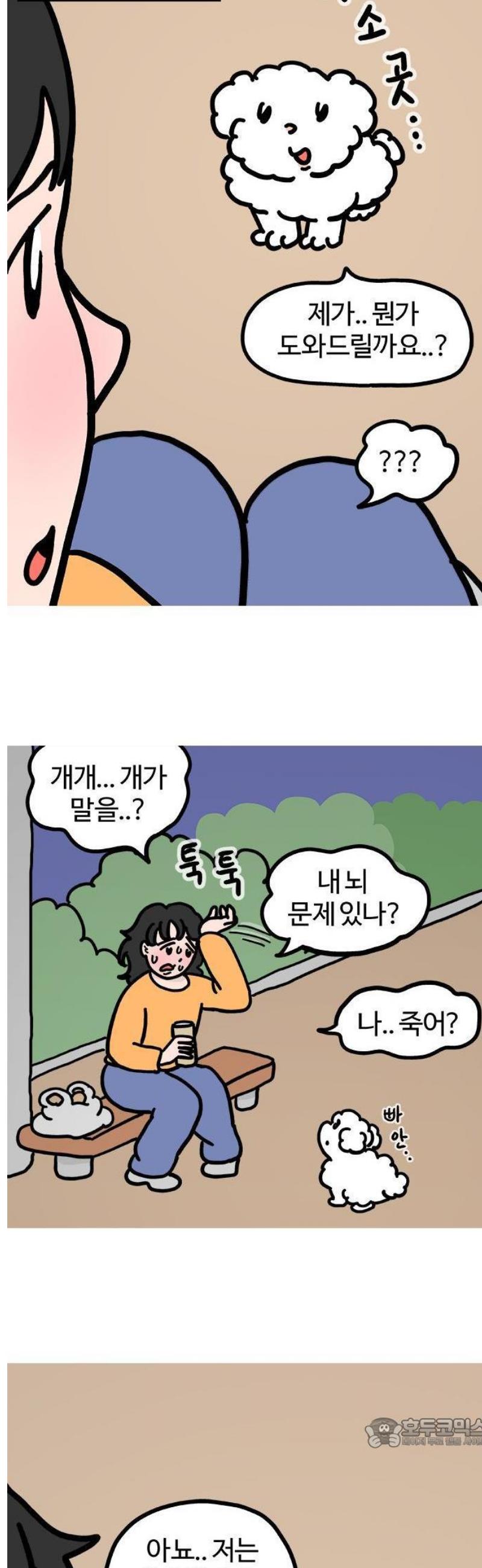 004.jpg