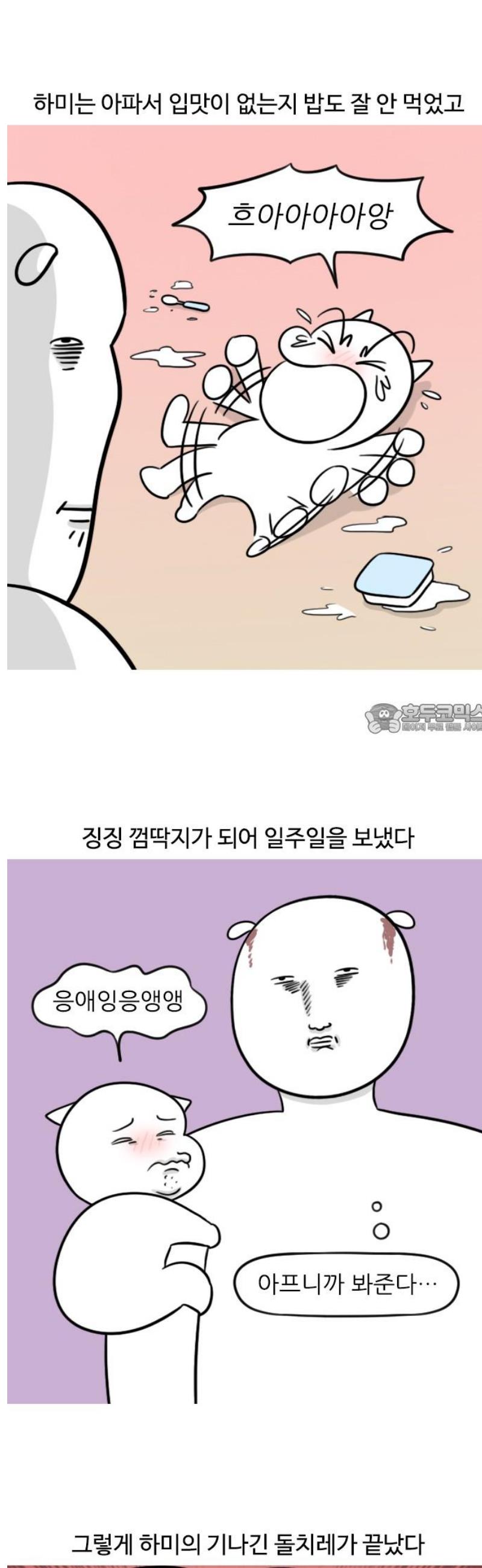 006.jpg