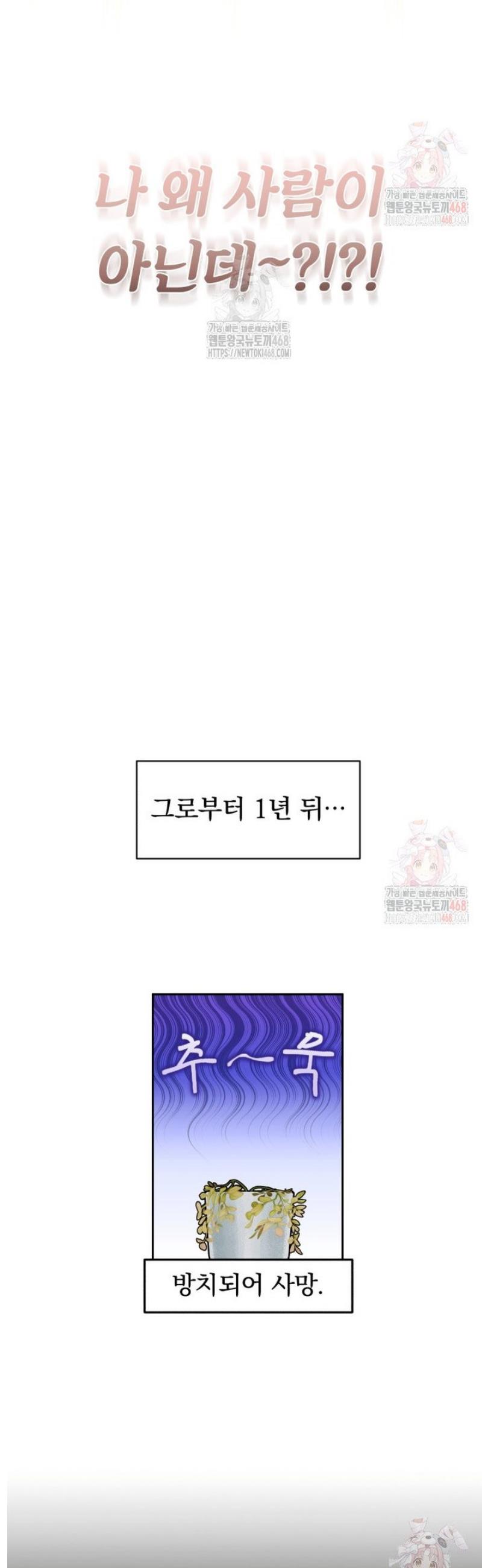 012.jpg