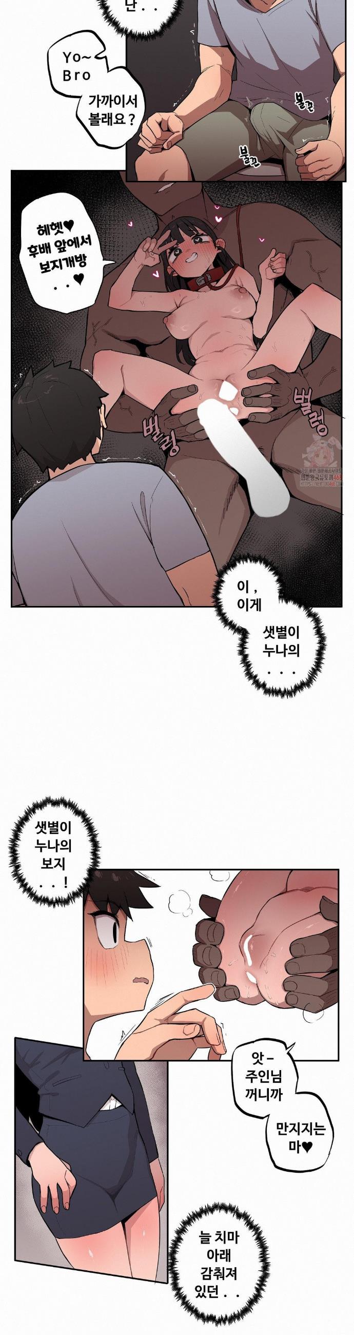 007.jpg