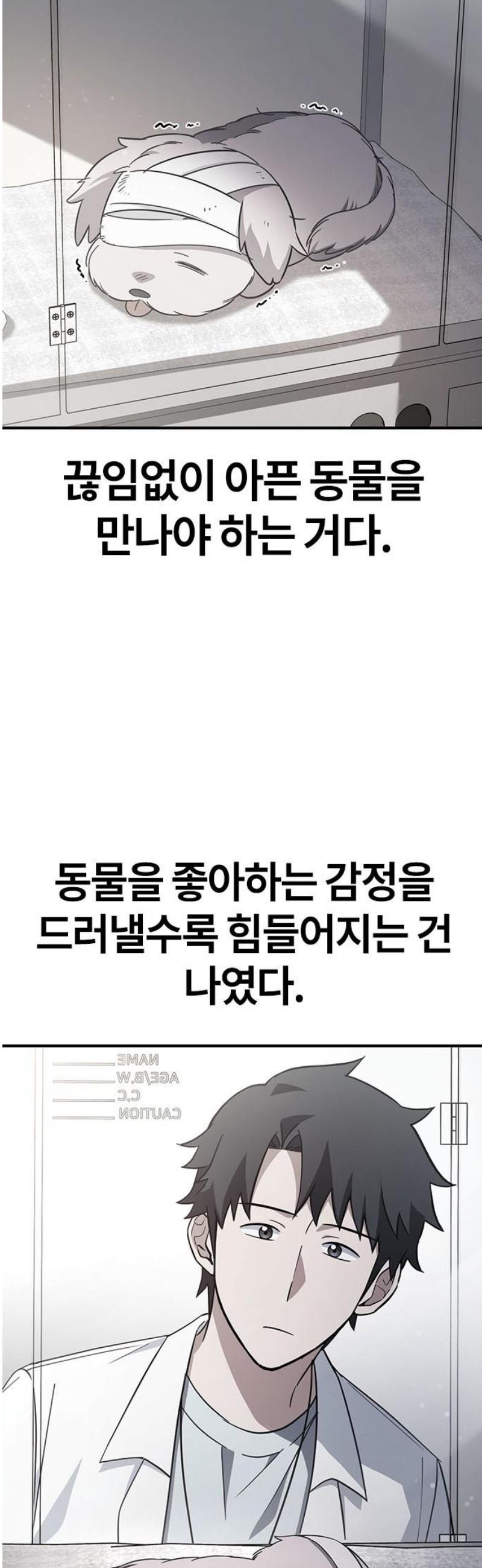 17466588474299isory8md0l.jpg